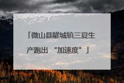 微山县驩城镇三夏生产跑出 “加速度”